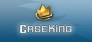 Logo Caseking