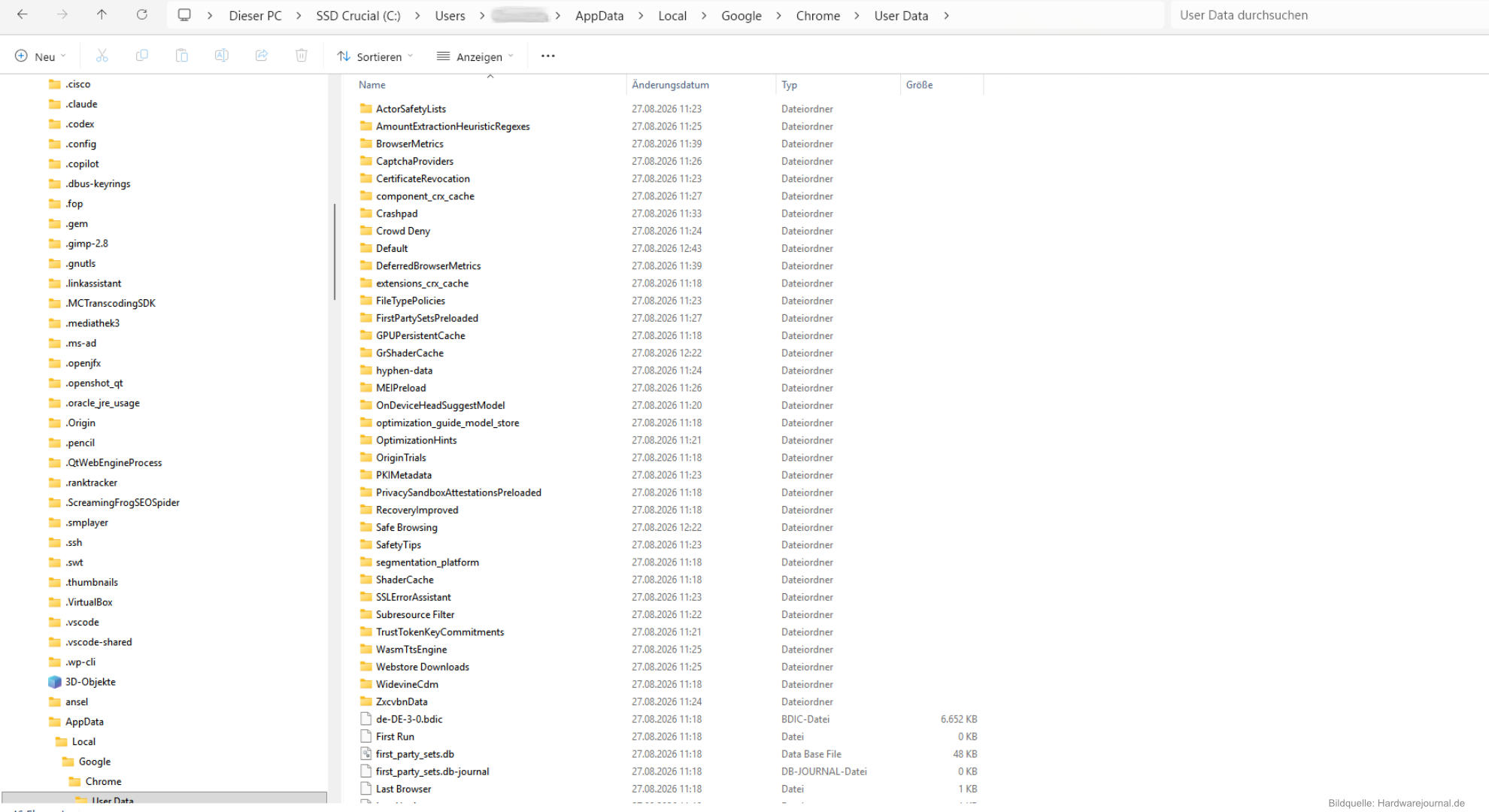 Chrome Profilordner neu aufbauen Der User Data Ordner mit dem Profil.