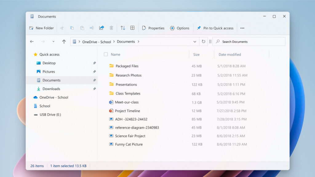 Microsoft Windows 11 Explorer
